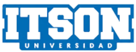 Itson Logo